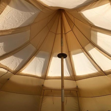 Stargazer Tent Met Sterrenuitzicht Callantsoog Εξωτερικό φωτογραφία